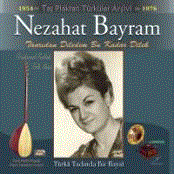 Türk Halk Müziği Arşivi