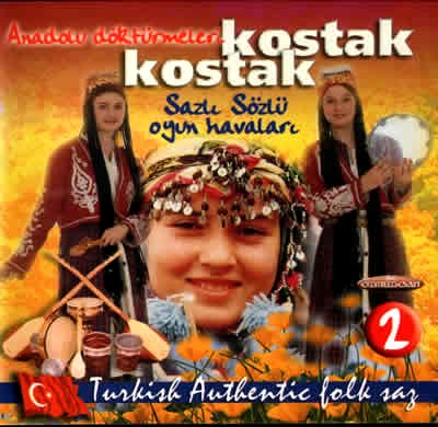 Turkish Authentic Folk Saz