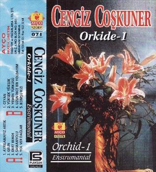 Orkide - 1